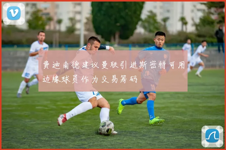 费迪南德建议曼联引进斯密特可用边缘球员作为交易筹码